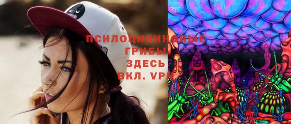 МДПВ Алексин