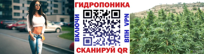маркетплейс телеграм ссылка на мегу ссылки Брюховецкая Канабис Ganja